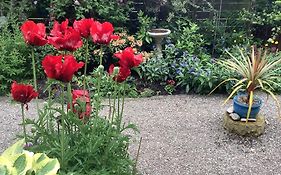 The Garden Flat